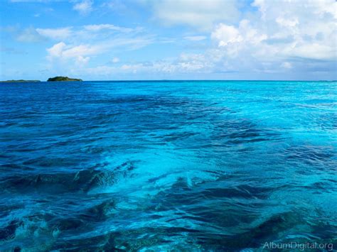 Feb 18, 2021 ... Las diferencias entre el mar Caribe y el océano Atlántico estriban en su profundidad, en su temperatura y en su salitre. El mar tiende a ser ...